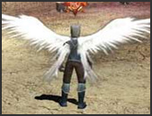 Cánh Thiên Đàng- Heaven Wings - Dark Wizard - Mu Online